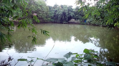নন্দীগ্রামে গভীর রাতে পুকুর দখলের চেষ্টা    